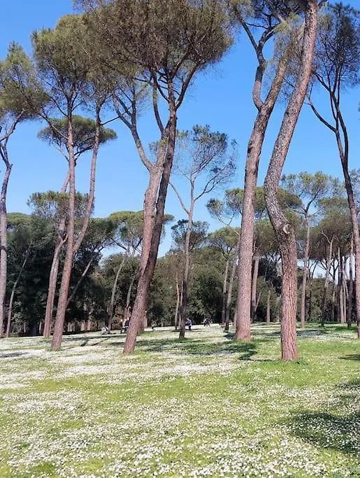 Magnifica Roma Appartamento In Centro 0*,  Italia